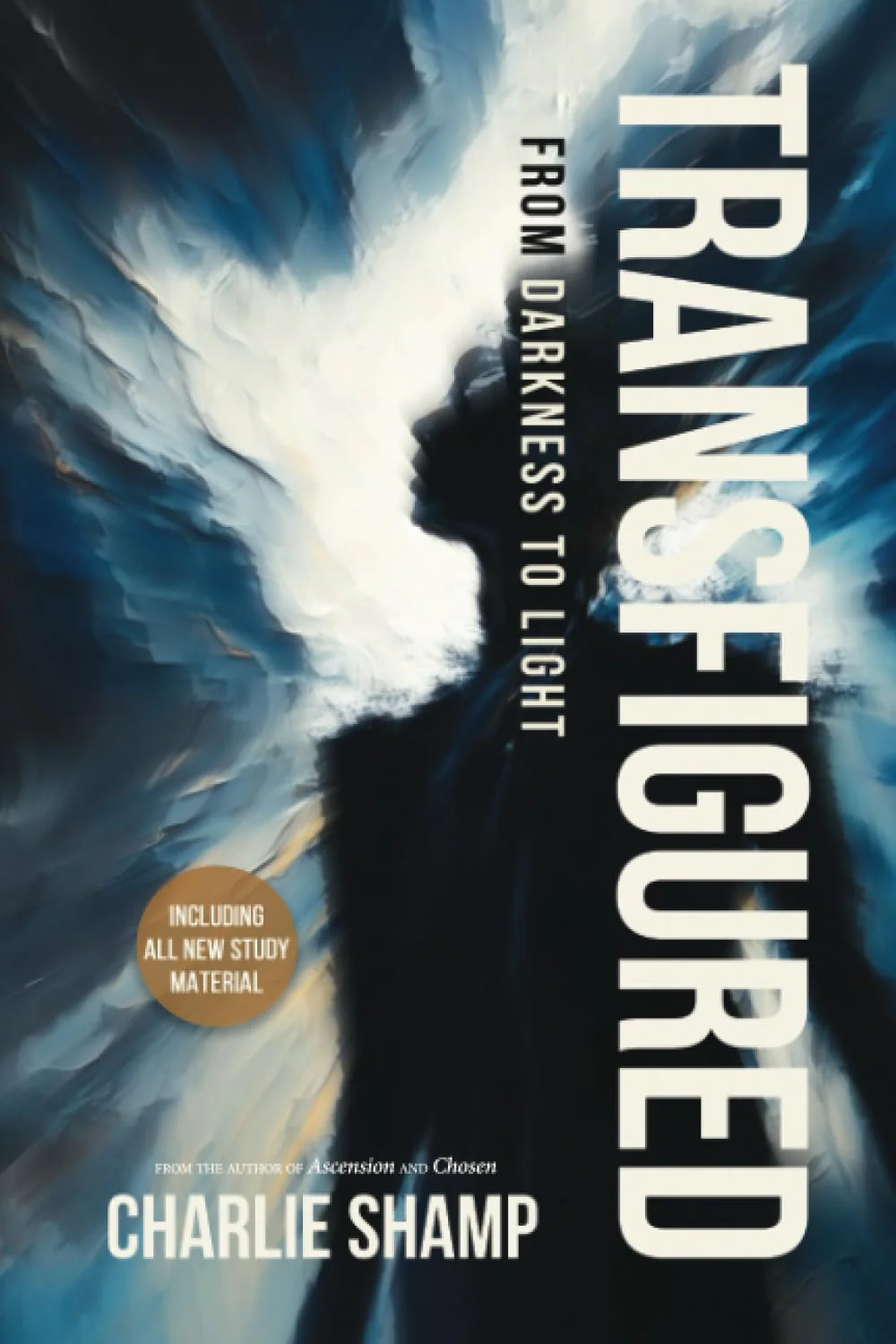 Transfigured: From Darkness to Light